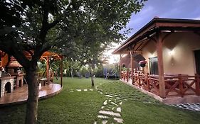 Guest House Marchini